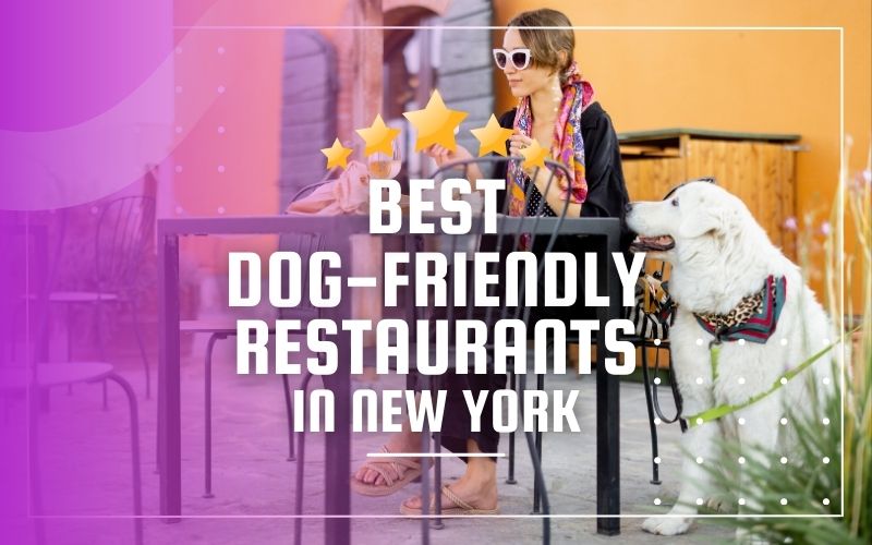 Top 7 pet-friendly restaurants in New York City